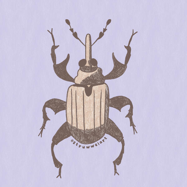 Handsome Bug